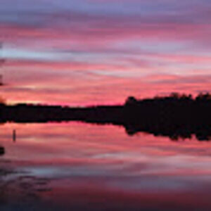 Meet your Posher, Whitney